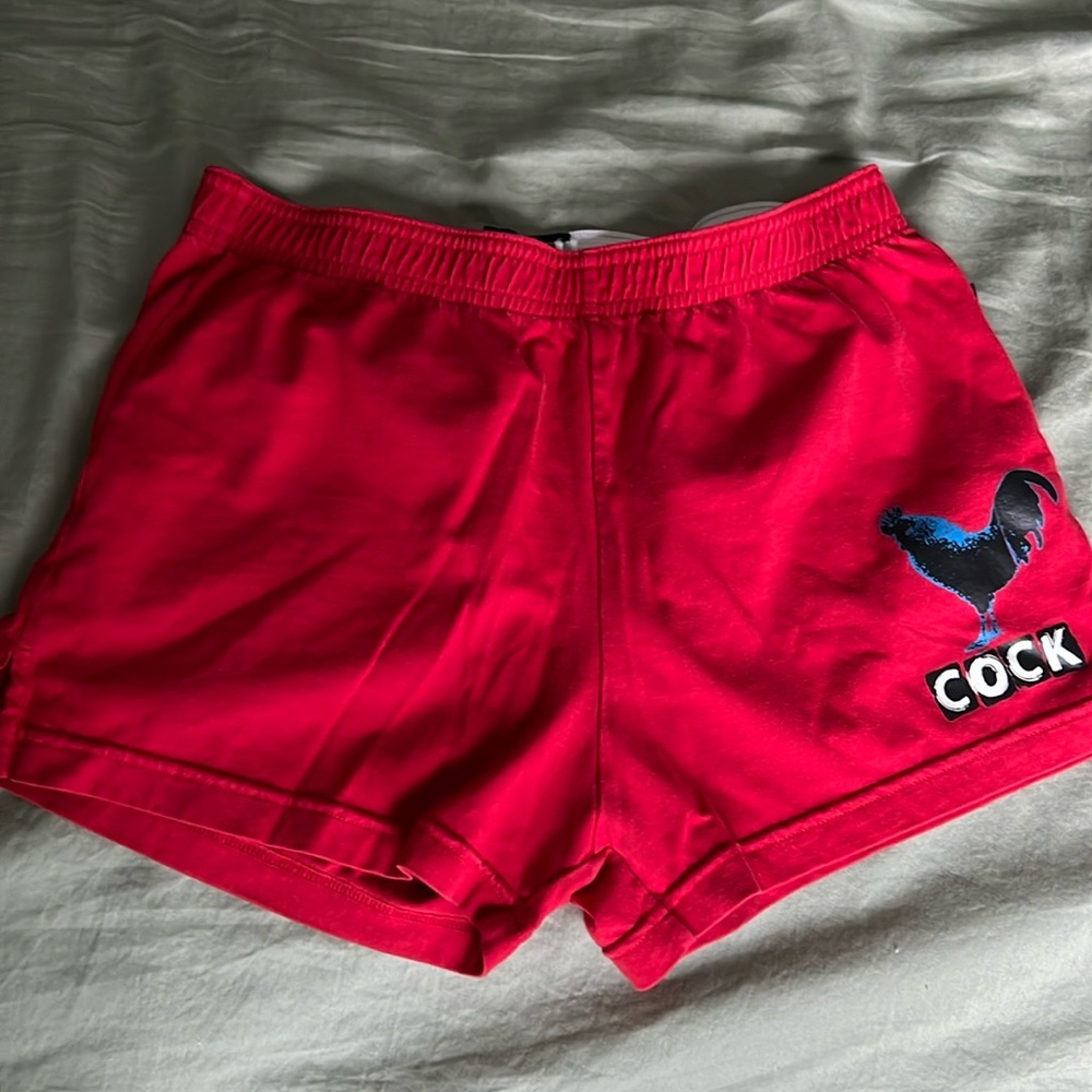 Andrew Christian Medium Red Shorts